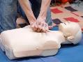 مولاژ CPR نیم تنه بزرگسالان