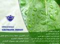 دریافت تسهیلات ریالی صنایع کشاورزی