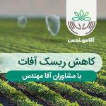 آقا مهندس - مرکز مشاوره تخصصی صیفی جات
