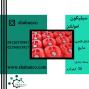 فروش سیلیکون امولشن
