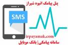 اتصال سایت و نرم افزارها با وب سرویس پیامک و خط خدماتی