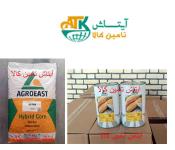 شرکت آیتاش تامین کالا بذر ذرت شیرین آلتین بذر ذرت علوفه ای رقم ای استار ALTIN ESTAR