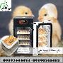 فروش ویژه دستگاه جوجه کشی صنعتی و خانگی - 09190768462