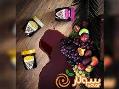 آرش سکندری(مدیر عامل کارخانه تولید مواد غذایی سولار)