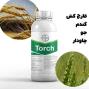 خرید بهترین سم قارچ‌کش خارجی Torch برای مزارع گندم، جو و چاودار