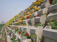 فلاورباکس بتنی گلفوژ