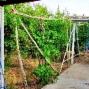 فروش باغ ویلایی چهار دیواری