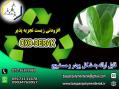 افزودنی اکسو زیست تجزیه پذیر(OXO-DERAK)  
