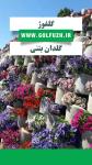 گلدان بتنی گلفوژ