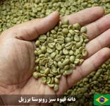 دانه قهوه سبز روبوستا اندونزی EP1 بصورت عمده – 30 کیلویی