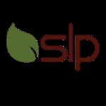 واردات و توزیع بلبرینگ SLP خودرویی صنعتی کشاورزی 