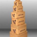 تولیدکننده برتر کارتن پستی در ابعاد استاندارد