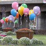 گلدان های مدرن شهری فایبرگلاس