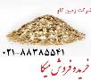 فروش میکا(mica) میکاها - مسکویت و بیوتیت و کاربردهای آنمسکویت یکی از کانیهای مهم سنگهای آذرین درونی 